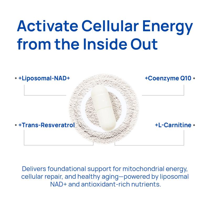 13-in-1 NAD+ Complex 1000mg