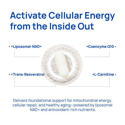 13-in-1 NAD+ Complex 1000mg